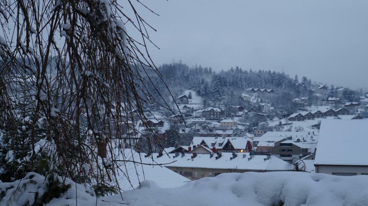 דירות L&R Gerardmer Fontaine מראה חיצוני תמונה